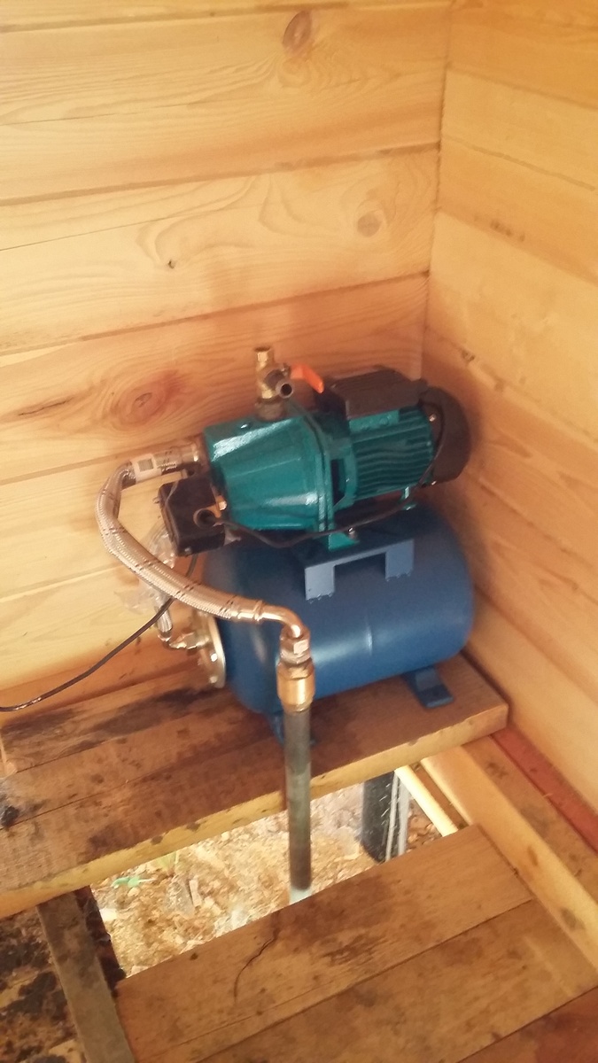 Абиссинская игла пробита в моем доме из санузла.