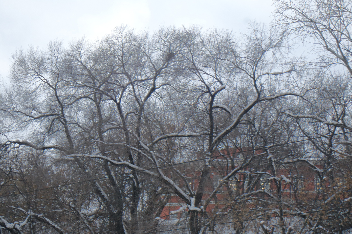 но я честно попыталась максимально приблизить здание лицея... у него, кстати, такая типичная форма - недаром я вспомнила КМВ - там явно всё застраивалось в начале ХХ века...