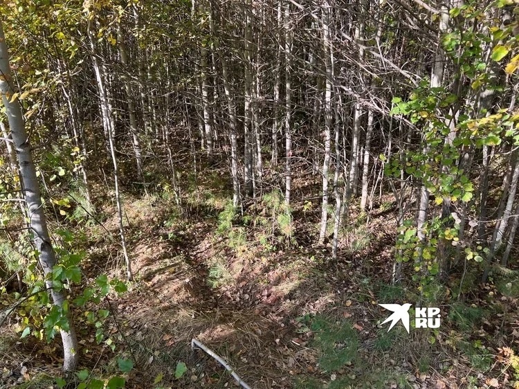 В этой яме нашли девочку