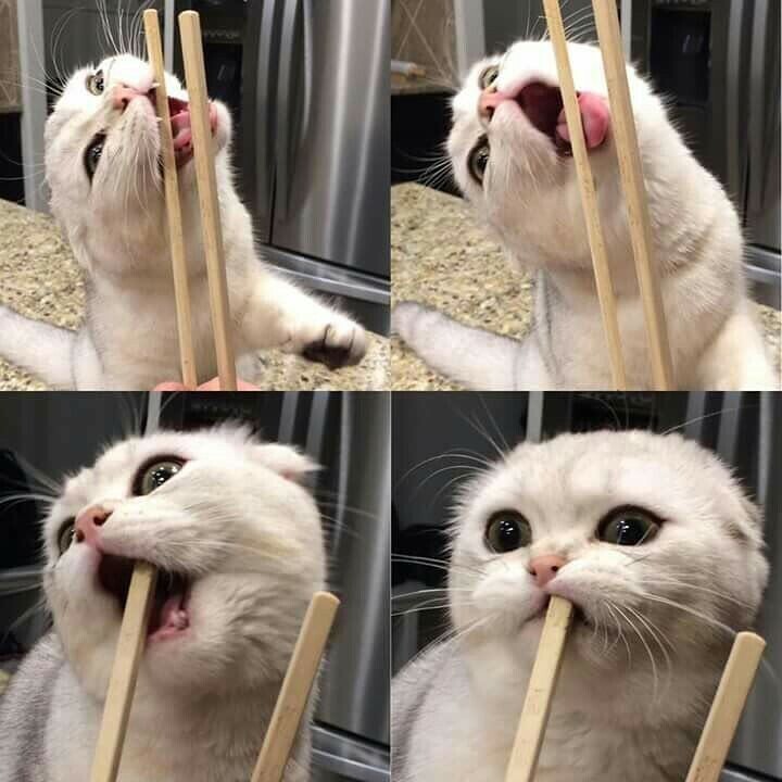 Отрицание, гнев, торговля, принятие!