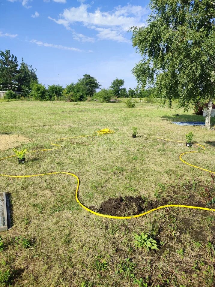 Намечаем форму и подбираем место для купленных растений