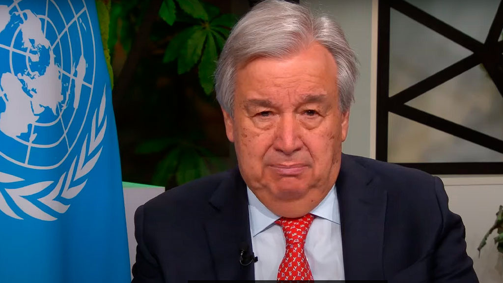    Скриншот видео ООН