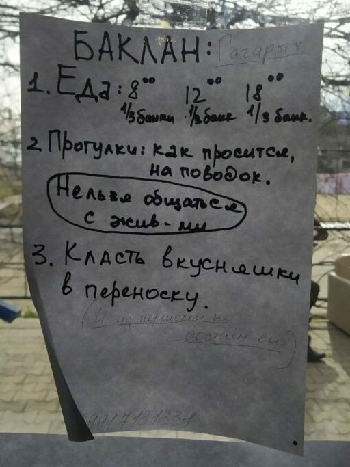    Фото: «Краснодарские известия»