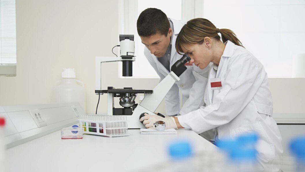    Фото: David Oxberry/Globallookpress