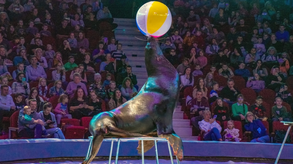 Светлана Мулыкина📷
