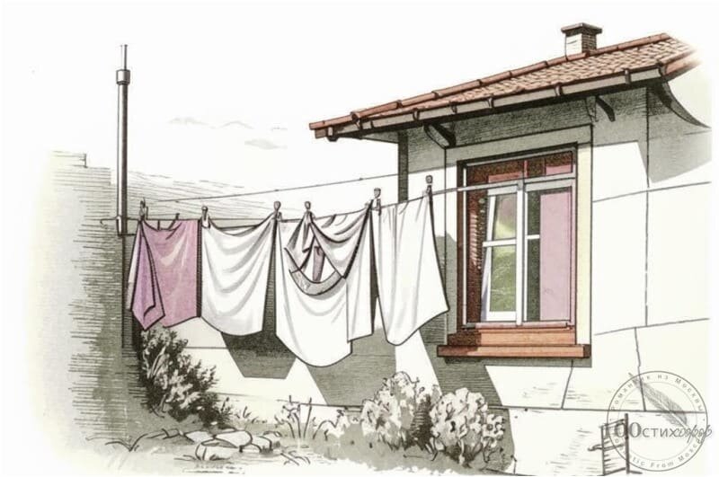 Бельё соседа