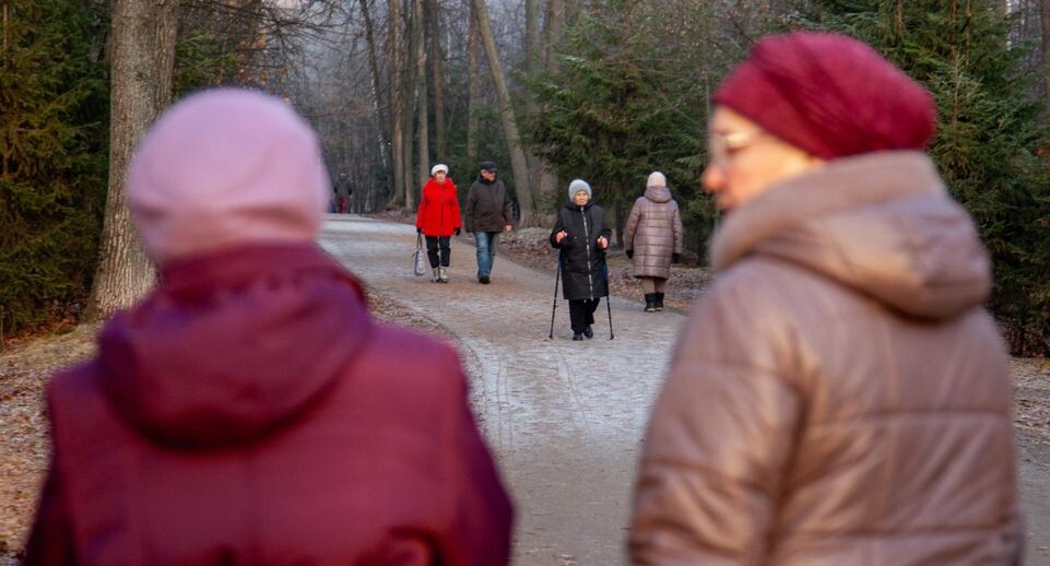    Oksana Korol/Business Online / Global Look Press