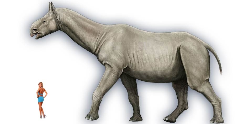 Поберегись!!! Из открытых источников.