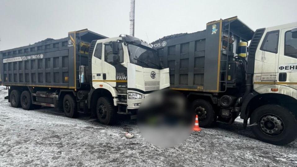    Фото: t.me/spb_police78