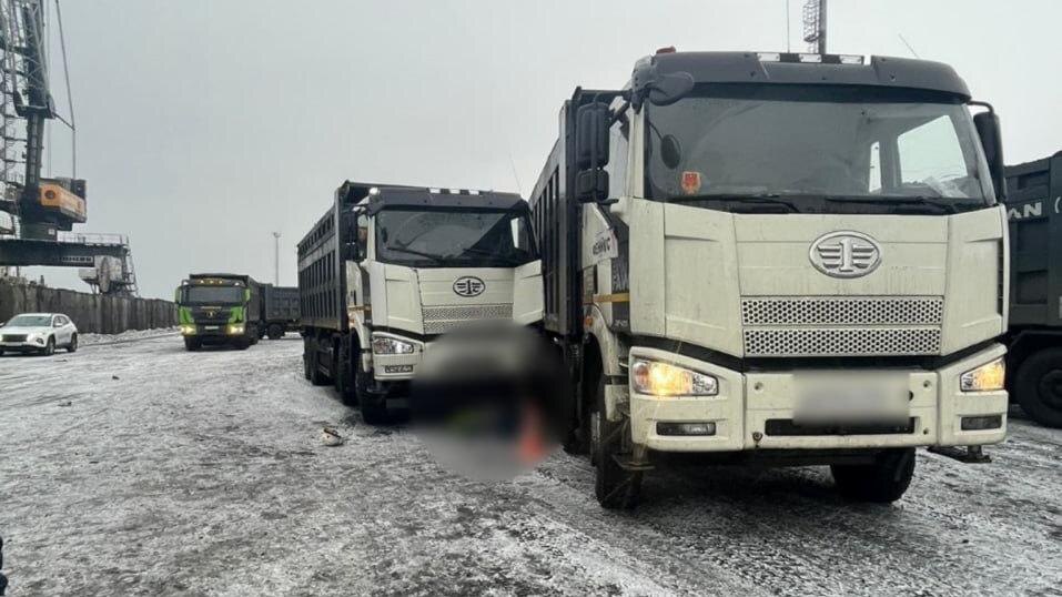    Фото: t.me/spb_police78