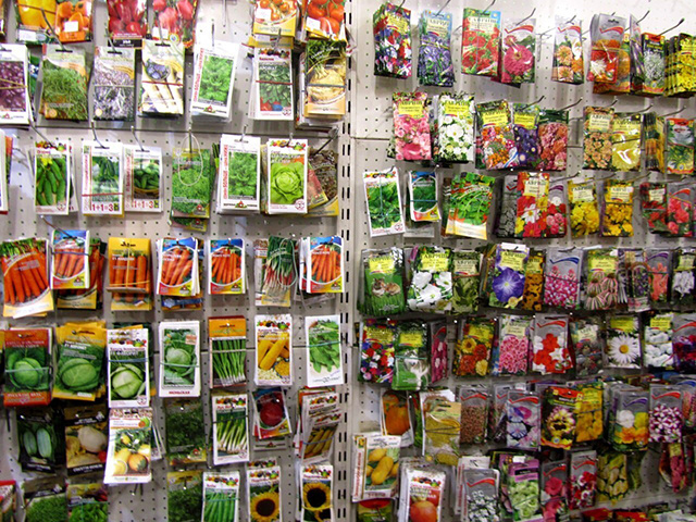 В Твери и Рамешках продавали сорта растений, выращивать которые нельзя