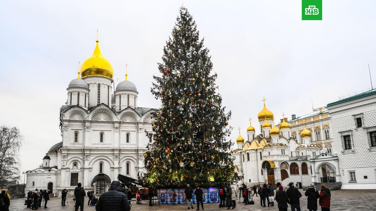    Фото: РИА Новости © 2025, Илья Питалев