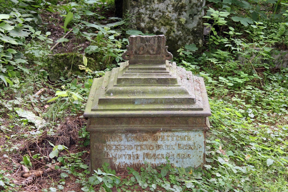 Фото из открытых источников.