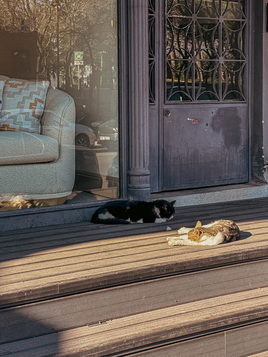 Ленивое утро 1 января было не только у нас :)