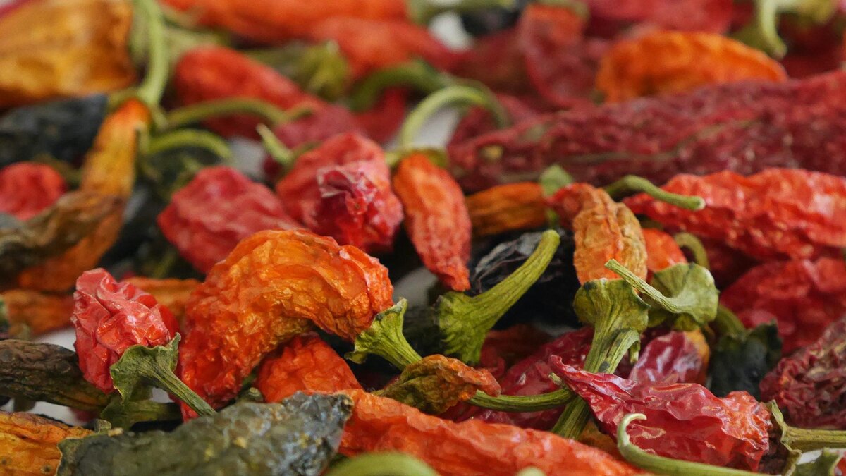    Фото: unsplash.com