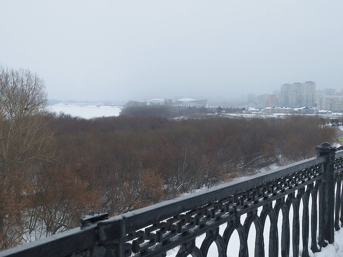 Фото с сегодняшней утренней прогулки