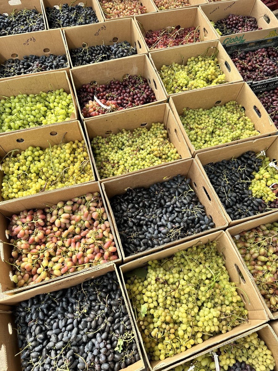 Это все для дегустации в Москва в 2024г