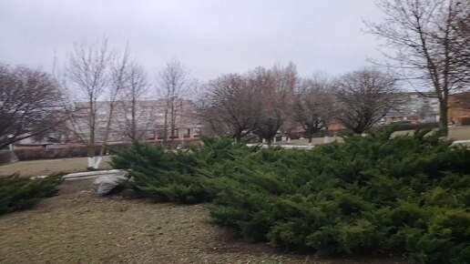 Быстровозводимые дома в Ейске кровля