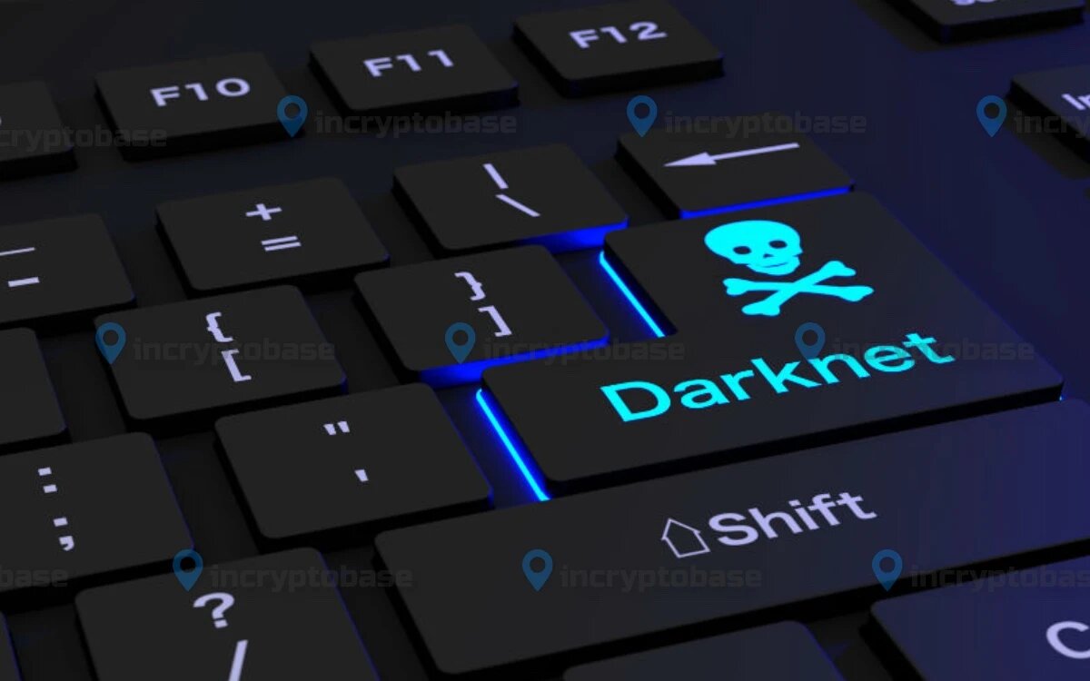 Дональд Трамп помиловал организатора Silk Road, с Росса Ульбрихта сняты все обвинения