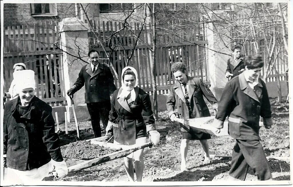 Фото Яндекс картинки.