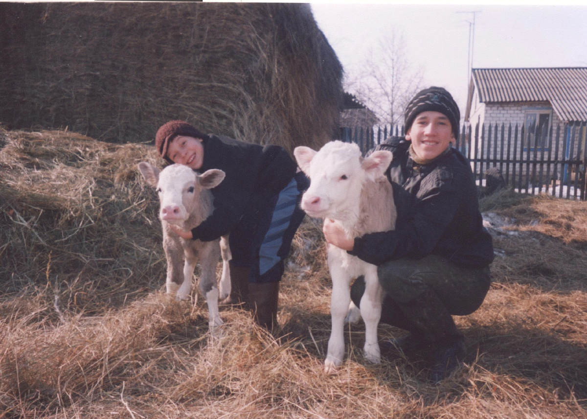 Фото со свиньями нет, есть с телятами. Это двойня от одной коровы. Дети не двойня, мои.