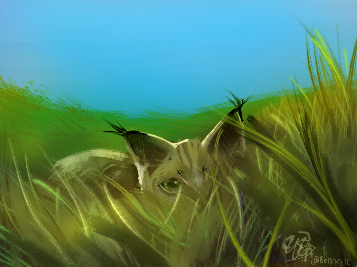 Хищник затаился