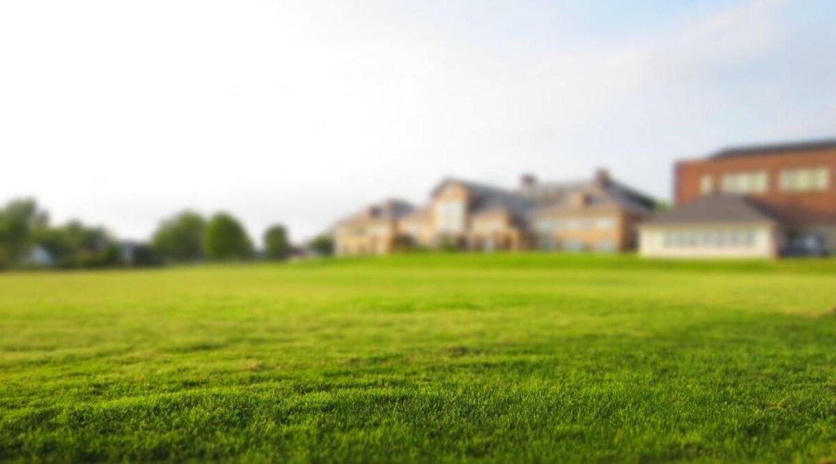 Фото: Free Nature Stock, pexels.com