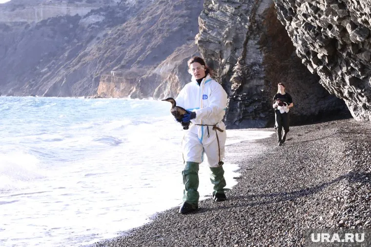 До Крыма пока доплывает не так много мазута, но местные жители уверены, что все еще впереди
Фото: Роман Наумов © URA.RU