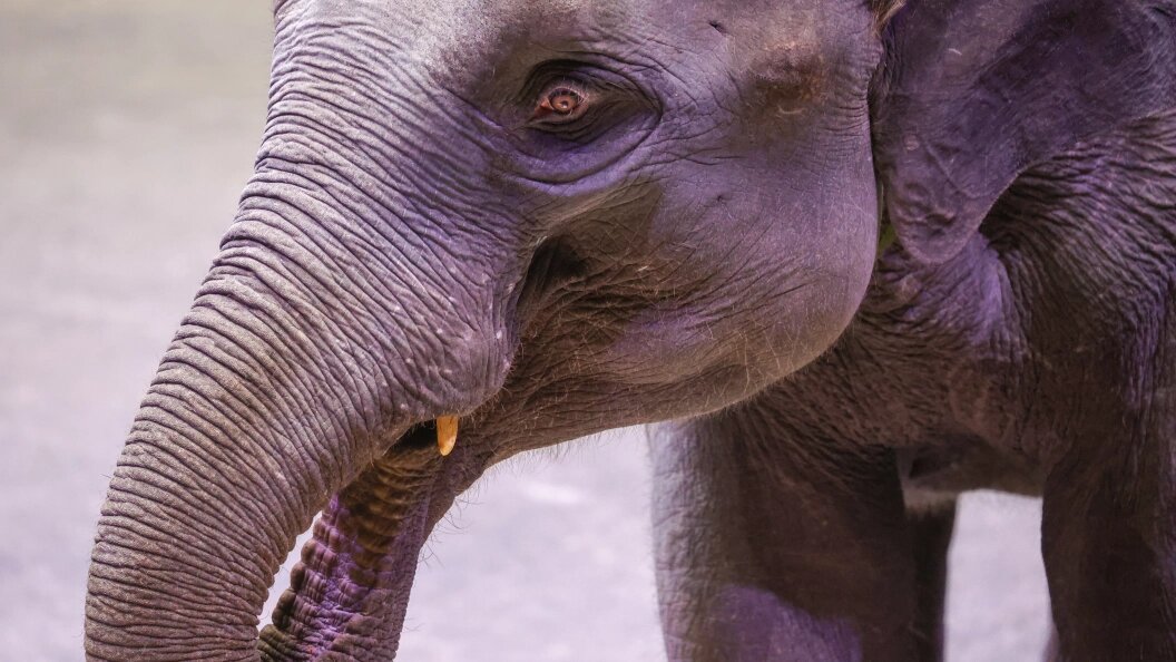    Belkin Alexey/news.ru/Globallookpress