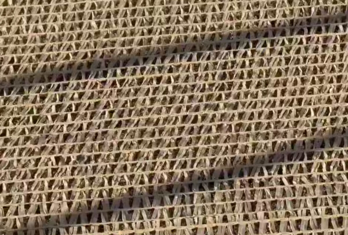    Фото: скрин видео соцсетей