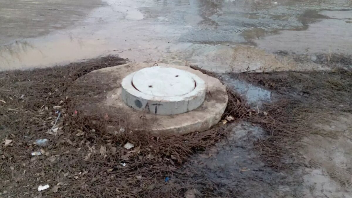     Источник: novostivolgograda.ru