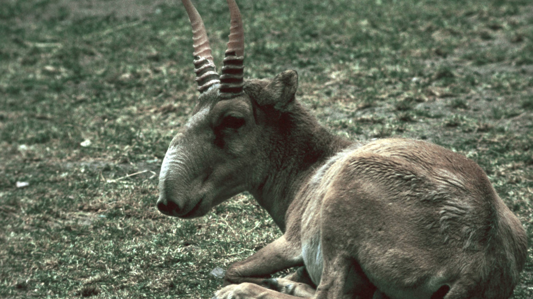    Фото: R. Koenig/Globallookpress