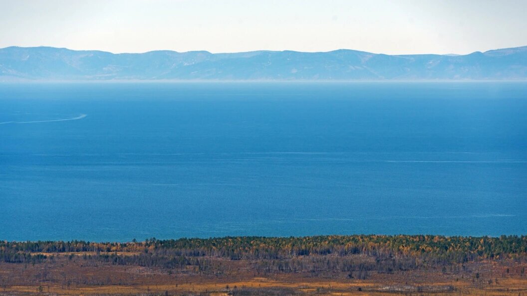    Serguei Fomine/Global Look Press