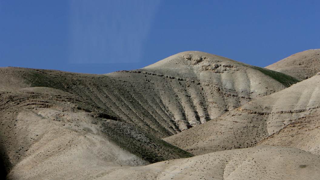    ФОТО: Daniil Ivanov/Globallookpress