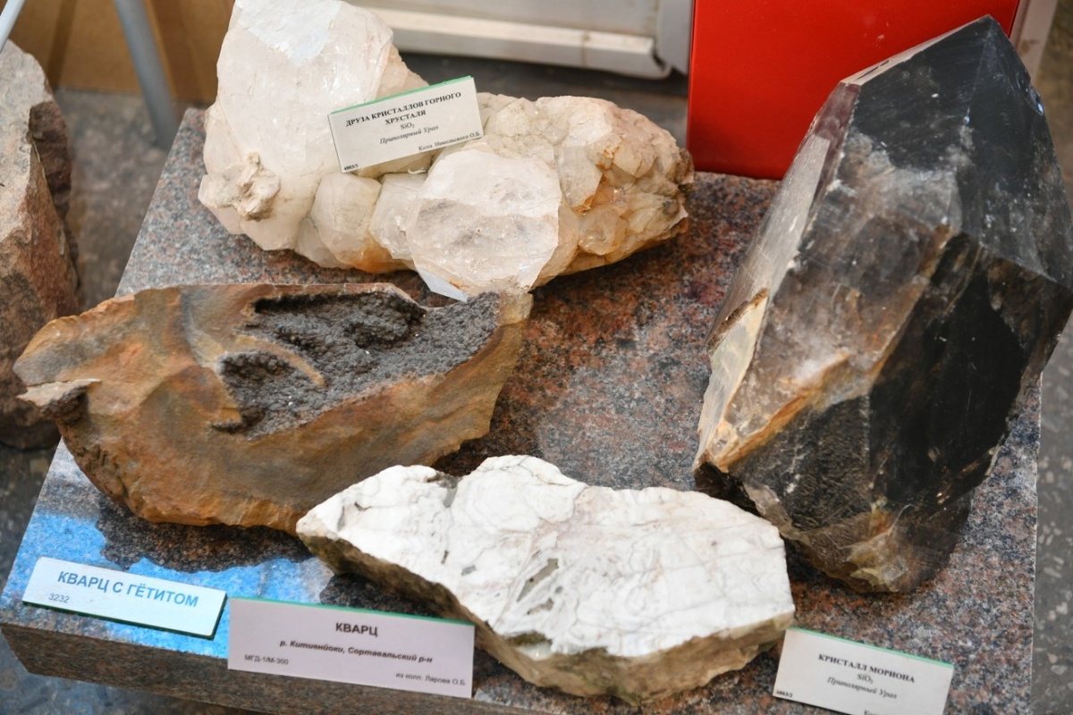    Музей геологии докембрия. Фото: "Республика"/Сергей Юдин