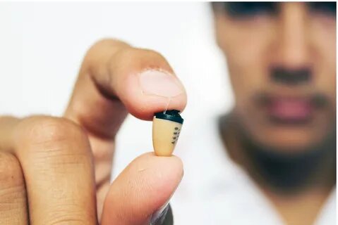 "Бабушка, а зачем тебе такие большие уши?"(с) Фото: mikron45.ru