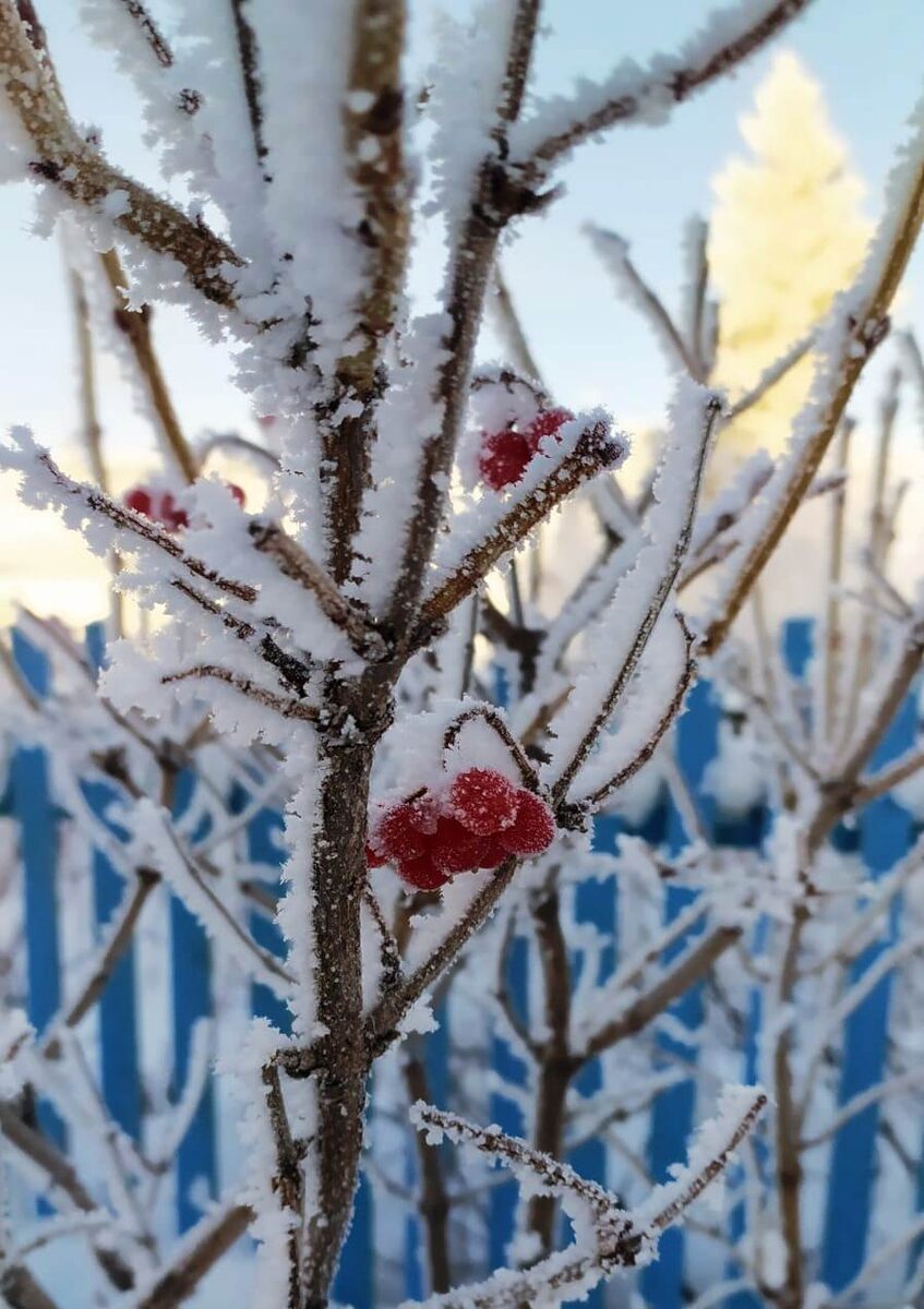 сложно объяснить, почему эта обложка.... Но эмоционально я чувствую связь между фото и ГГ