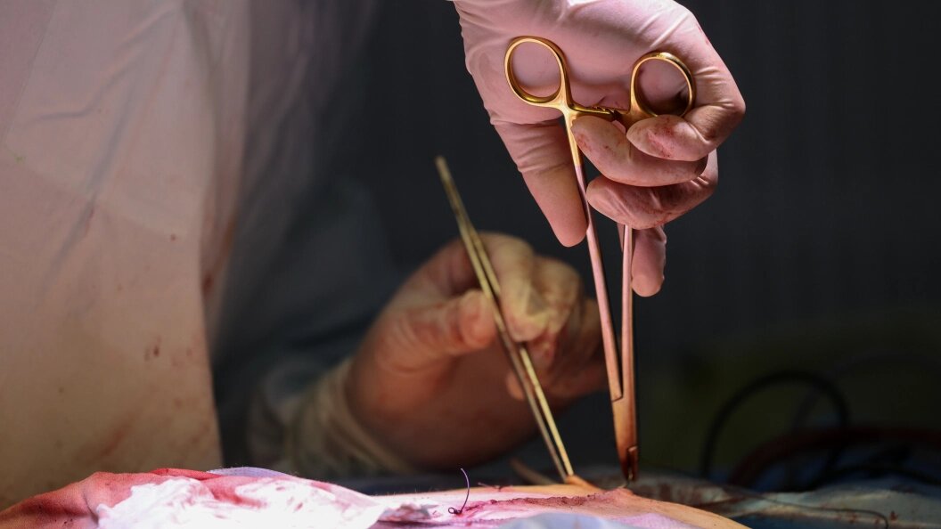    Фото: Belkin Alexey/Globallookpress