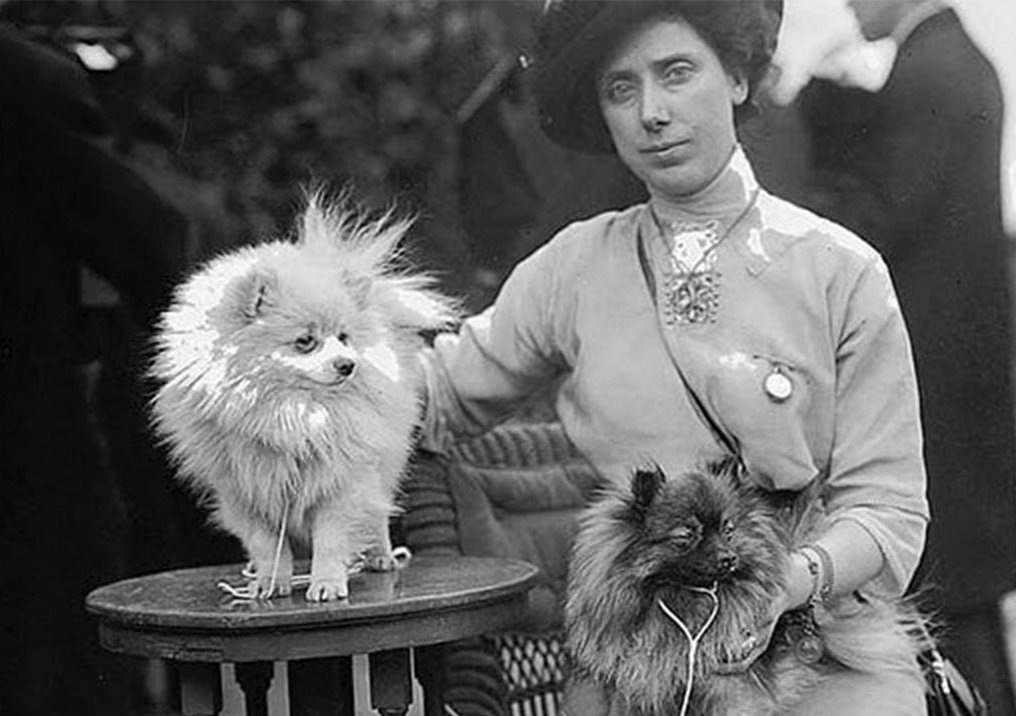 Королева Виктория и её шпиц Марко