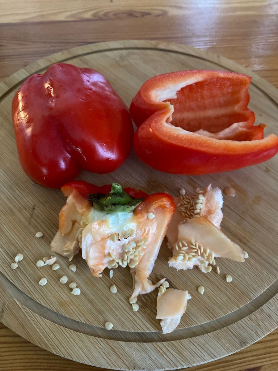 Моя будущая рассада