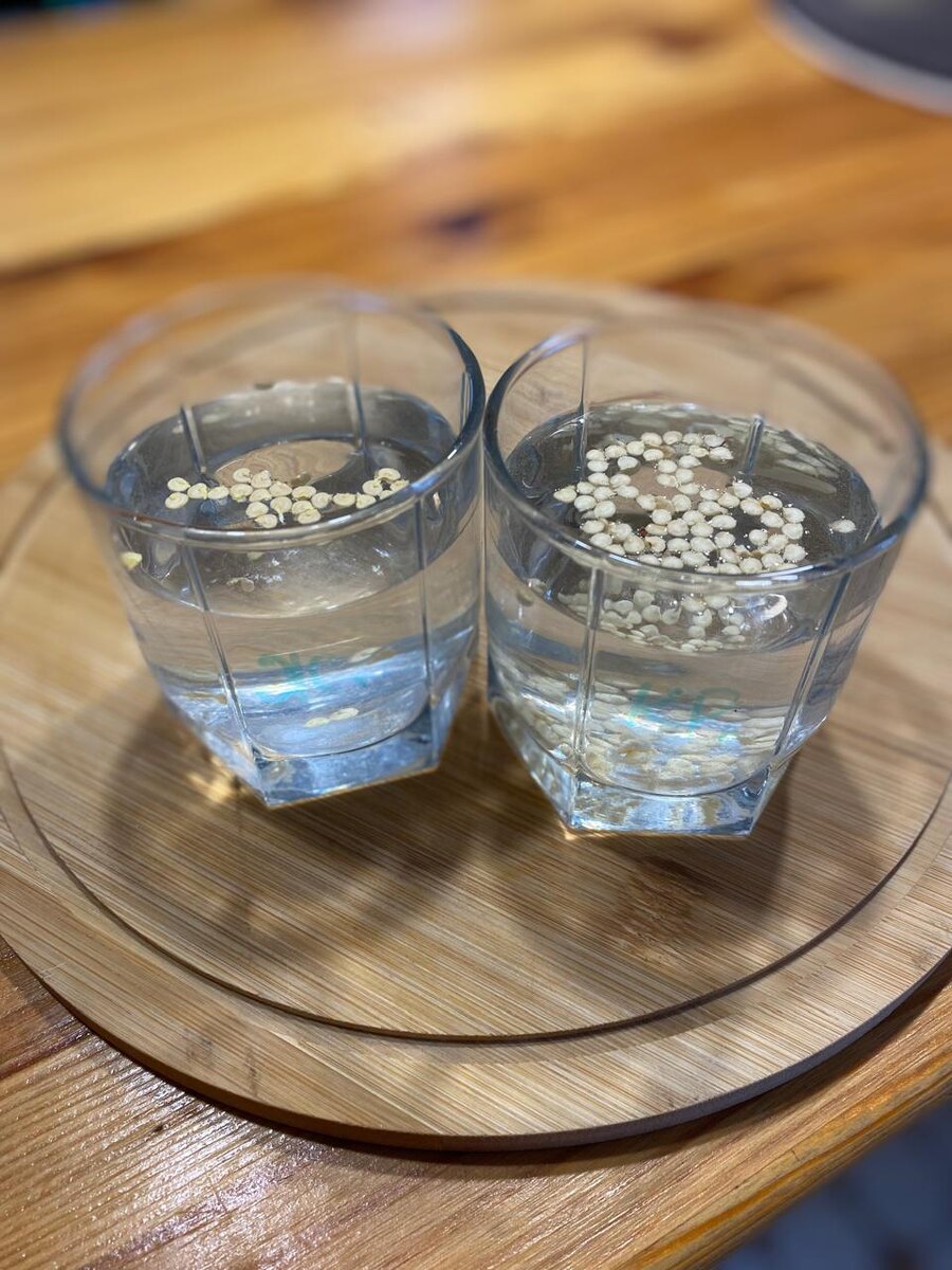 Проверка семян