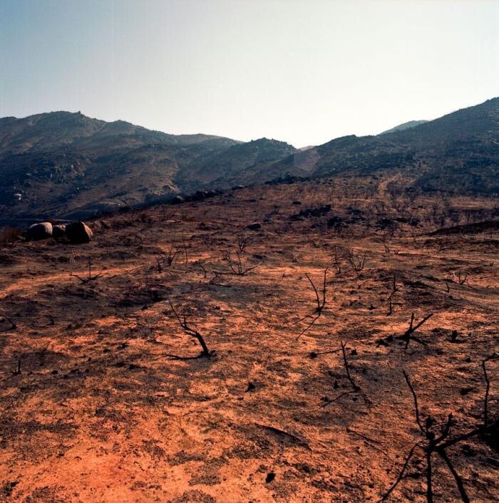 Вот так было бы на Терре после Ереси... И ни одного живого существа...