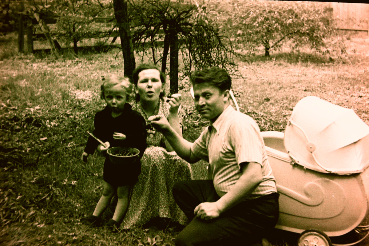 Вот она, вишня! Сестра, мама, папа, автор канала в коляске. А старший брат фотографировал.