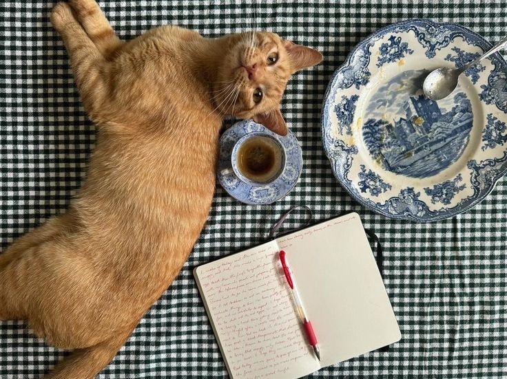 Источник фото: https://pin.it/4jtwxgM6K