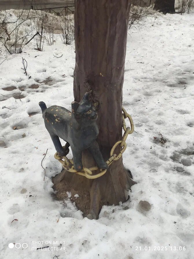 Фото автора 