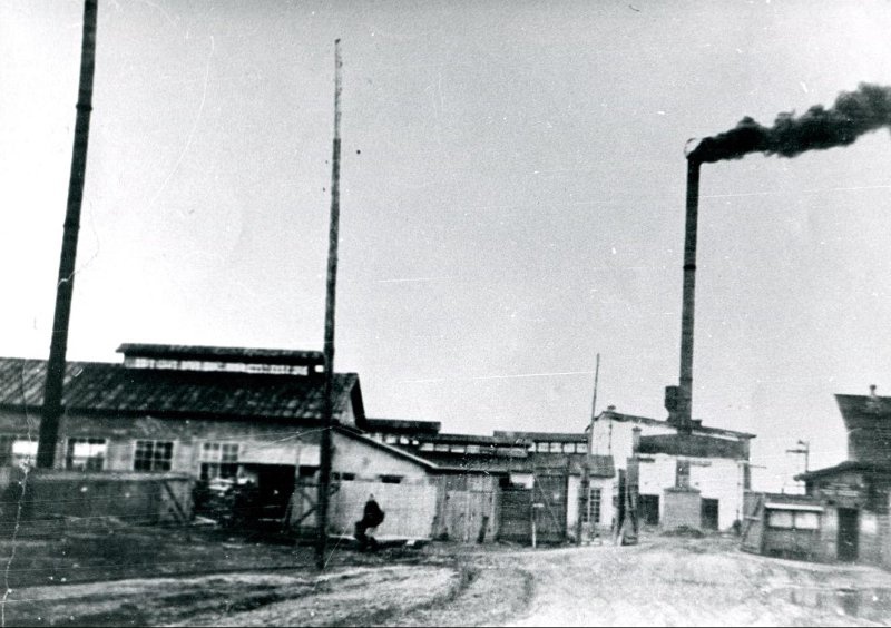 Андого-Березовский фанерный завод 1960г.