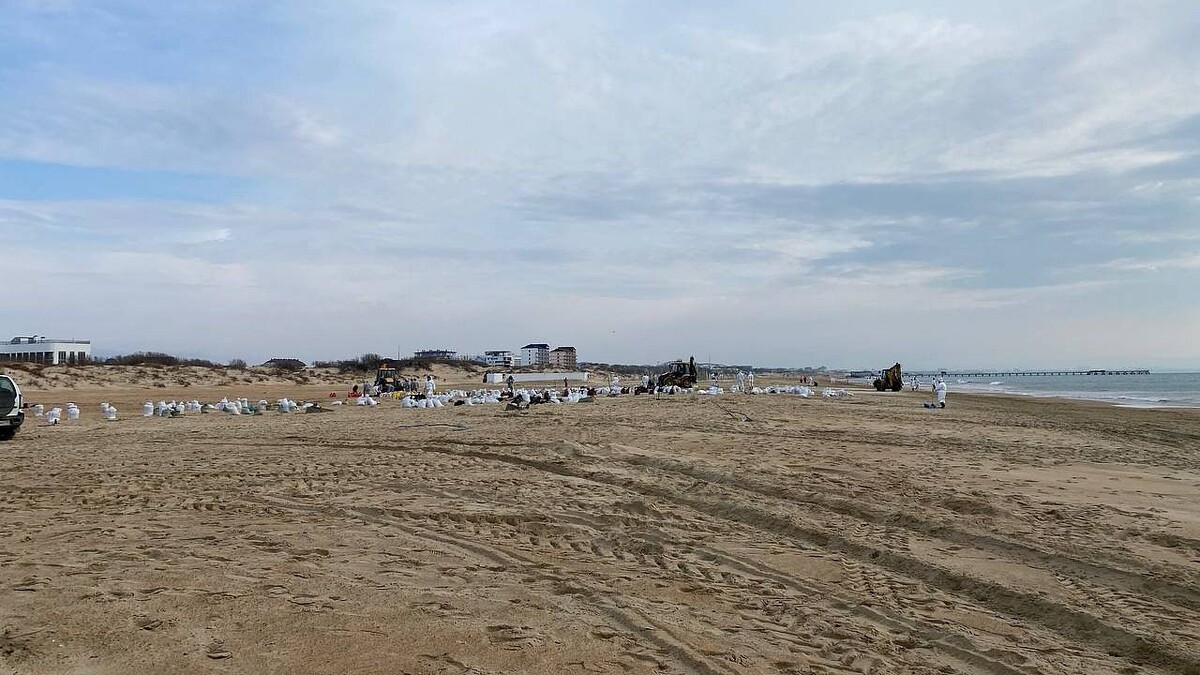    Фото: телеканал «Краснодар»