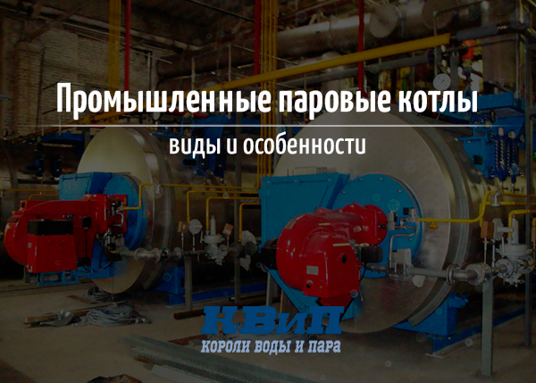 Как подобрать паровой котел?