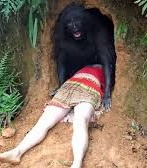 Фото: https://youtu.be/JJt-8sgNr5g?si=2mCIpuCpBsNws4ab