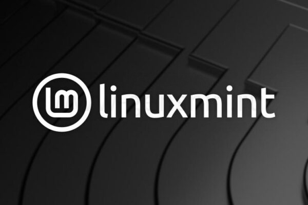 Linux mint 22.1 xia